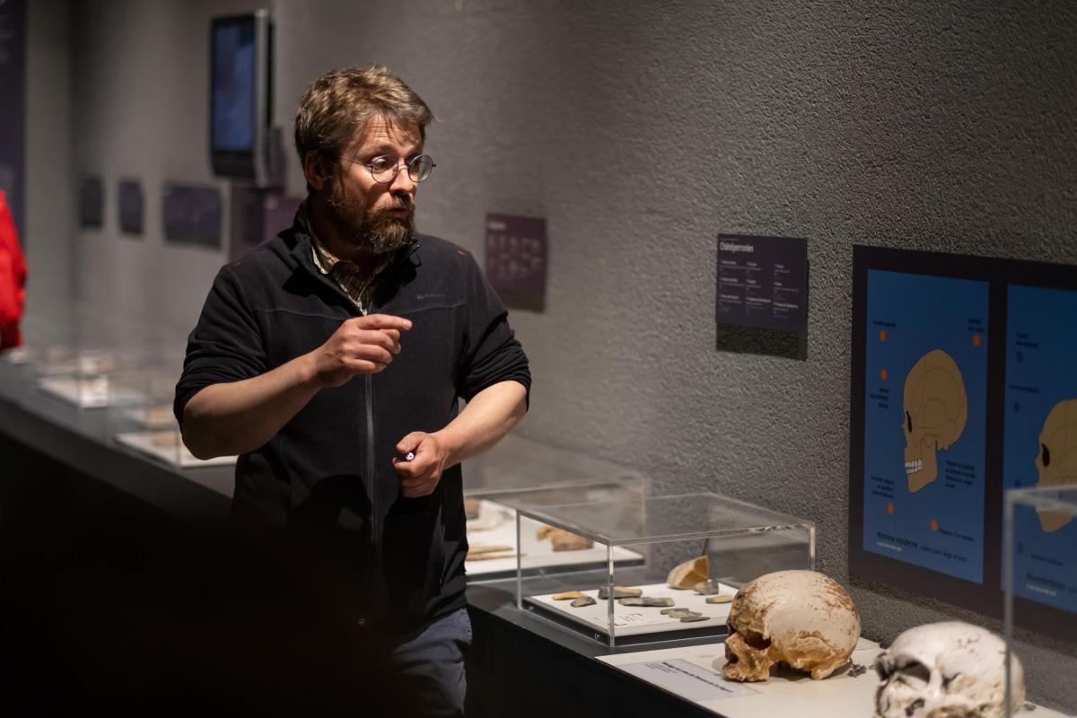Vue d'une visite dans les espaces Préhistoire