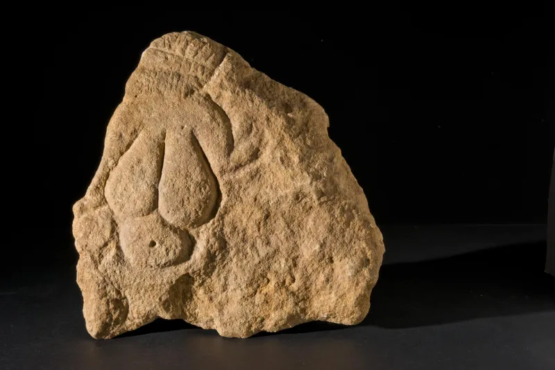 Vénus à la corne  © Lysiane Gauthier - mairie de Bordeaux