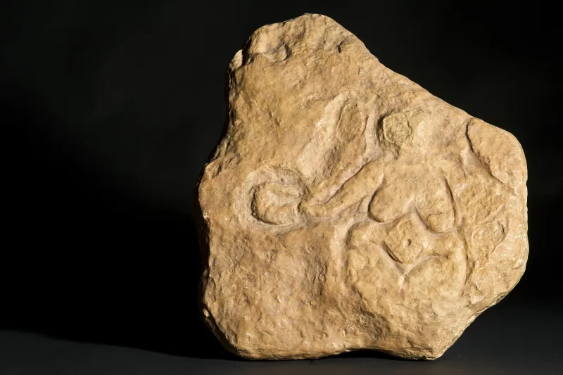 Vénus à la corne  © Lysiane Gauthier - mairie de Bordeaux