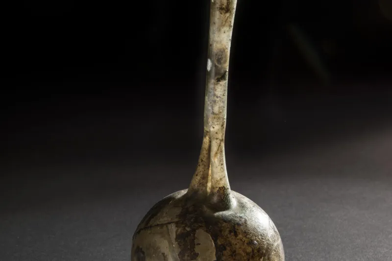 Orcel à col double © Lysiane Gauthier - mairie de Bordeaux