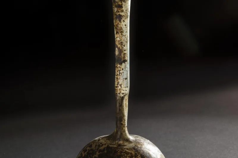 Orcel à col double © Lysiane Gauthier - mairie de Bordeaux