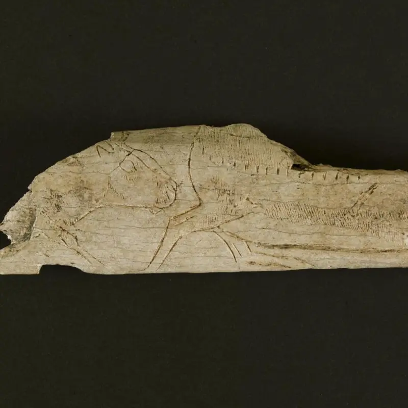 Deux rennes se suivant © Lysiane Gauthier - mairie de Bordeaux