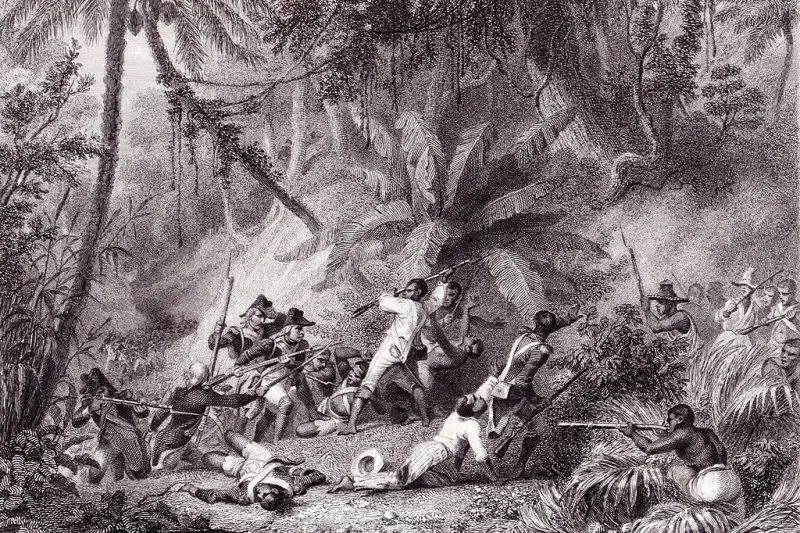Karl Girardet, Prise de la Ravine-à-Couleuvres (23 février 1802), gravé par Jean-Jacques Outhwaite © Wikicommons