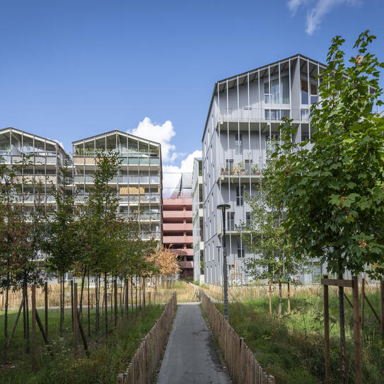 Vue du quartier de Brazza 