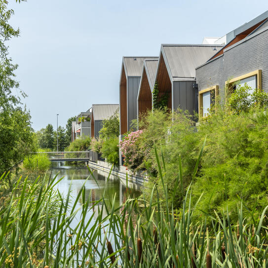 Vue du quartier Ginko