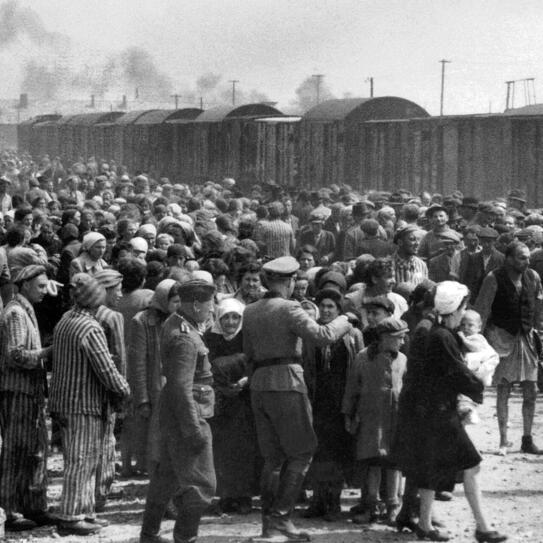 Arrivée de Juifs hongrois au camp d’Auschwitz, 1944 – photo prise par la survivante Lili Jacob 