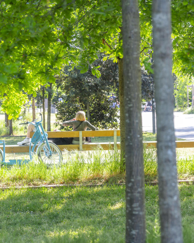 photo du  parc angéliques