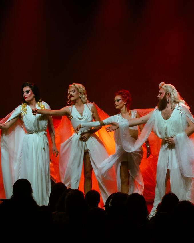 Photo d'un spectacle de la Familips