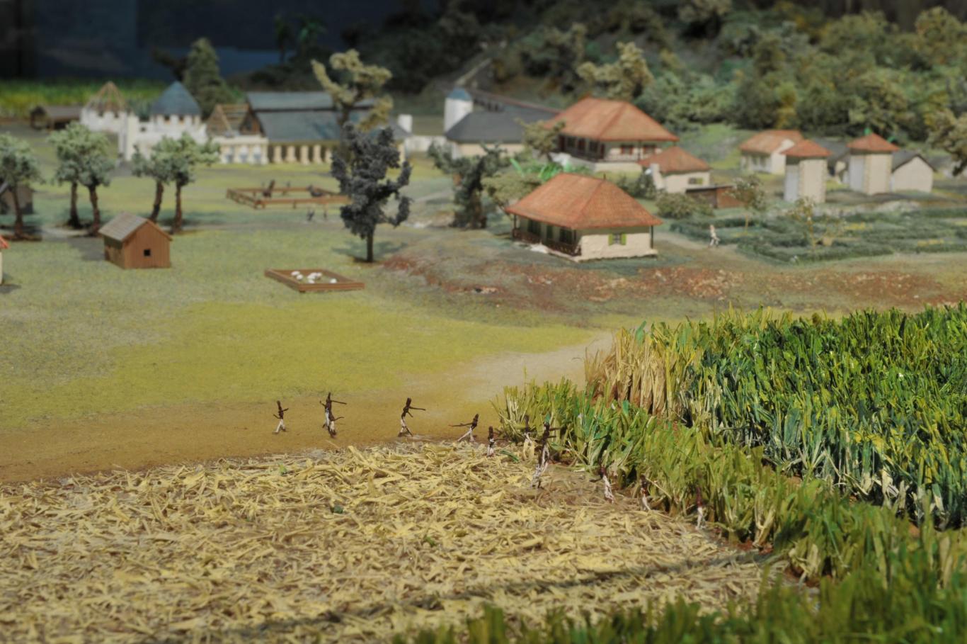 Cette image présente une maquette de plantation sucrière. 