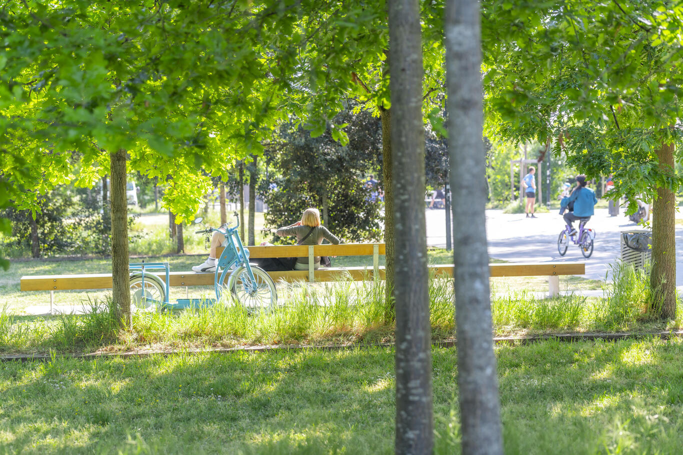 photo du  parc angéliques