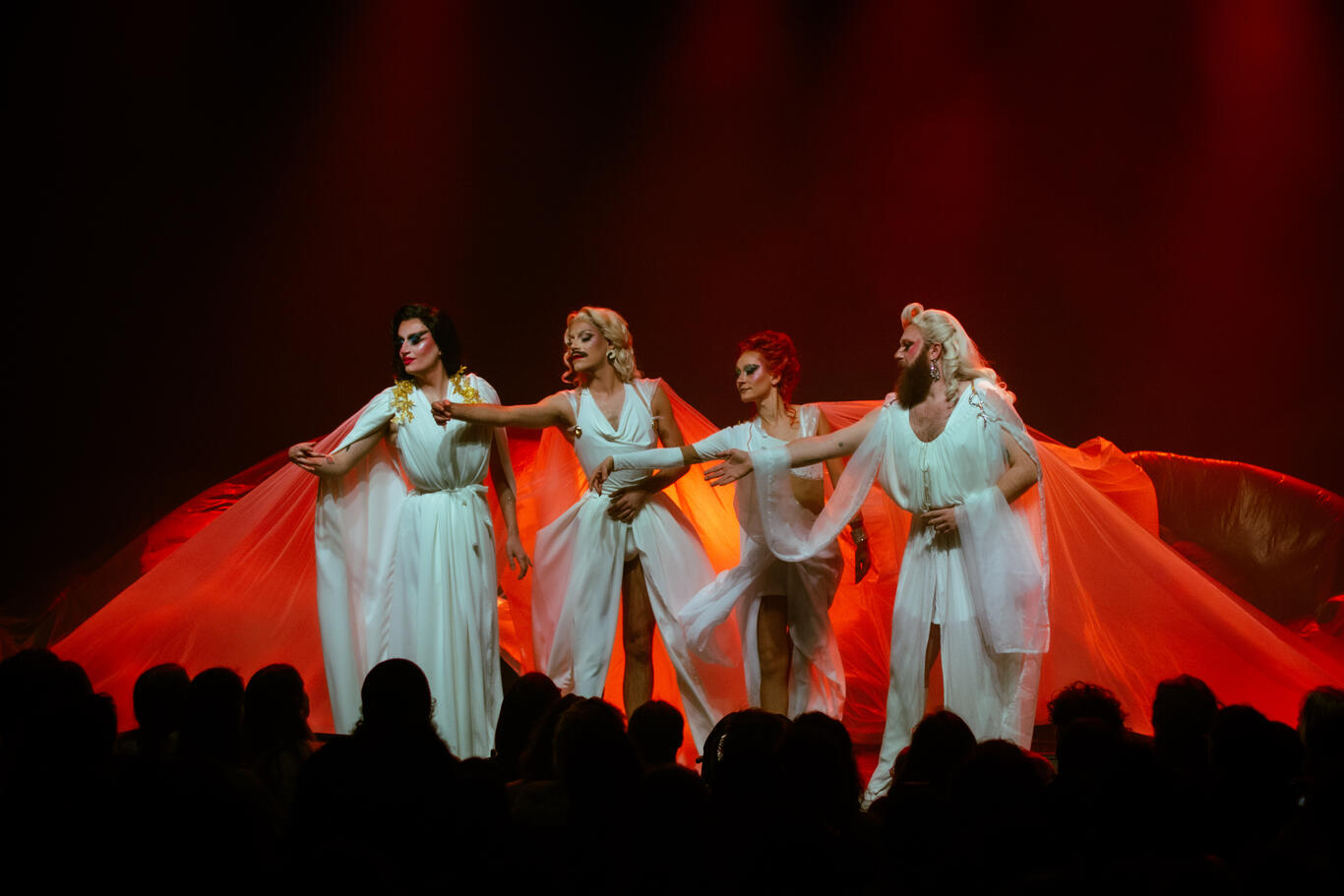 Photo d'un spectacle de la Familips