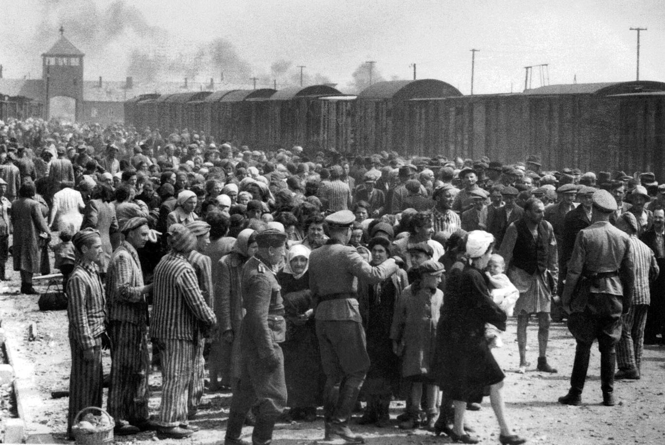 Arrivée de Juifs hongrois au camp d’Auschwitz, 1944 – photo prise par la survivante Lili Jacob 