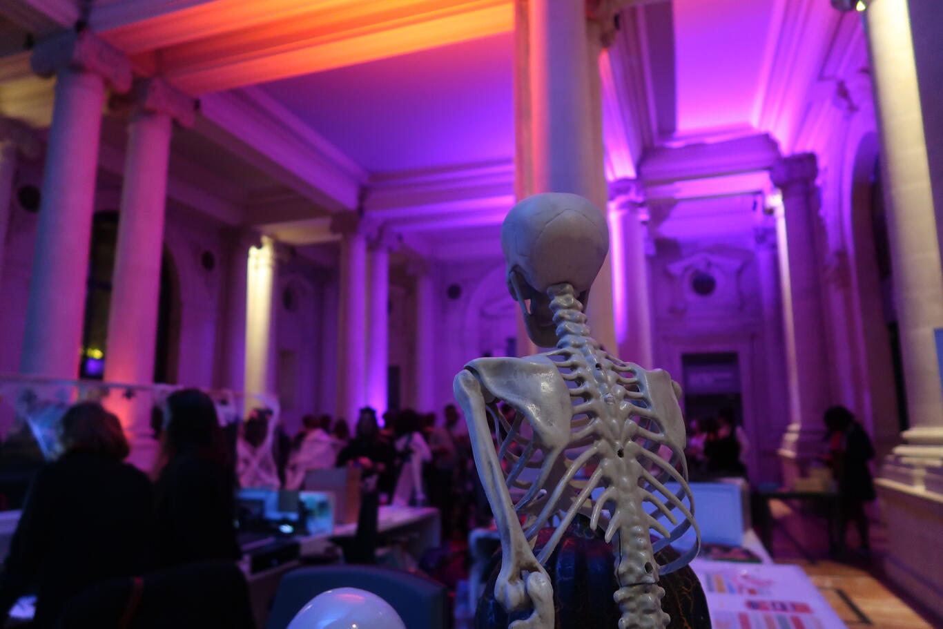 Photo du public pour Halloween 