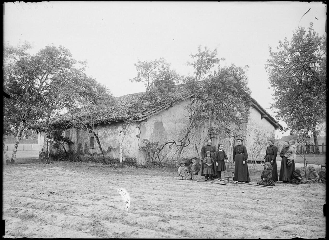 Photographie de Félix Arnaudin