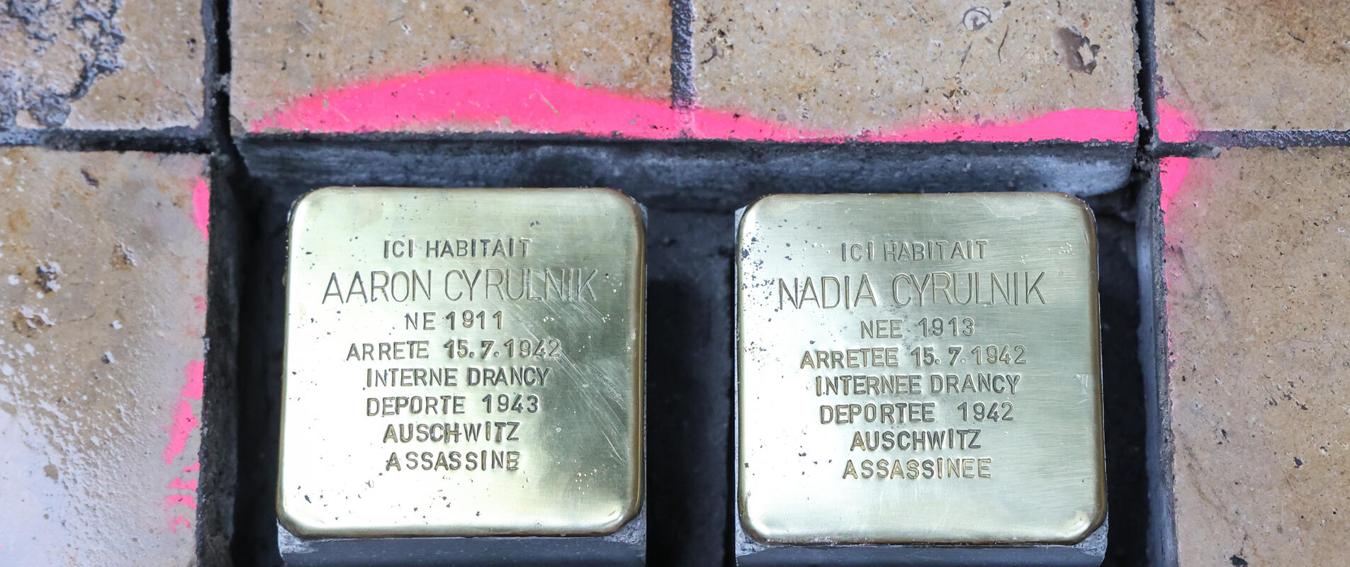 Pavés de la mémoire, "Stolpersteine", posés en janvier 2024, rue de la Rousselle en hommage à la famille Cyrulnik. ©Thomas Sanson - mairie de Bordeaux