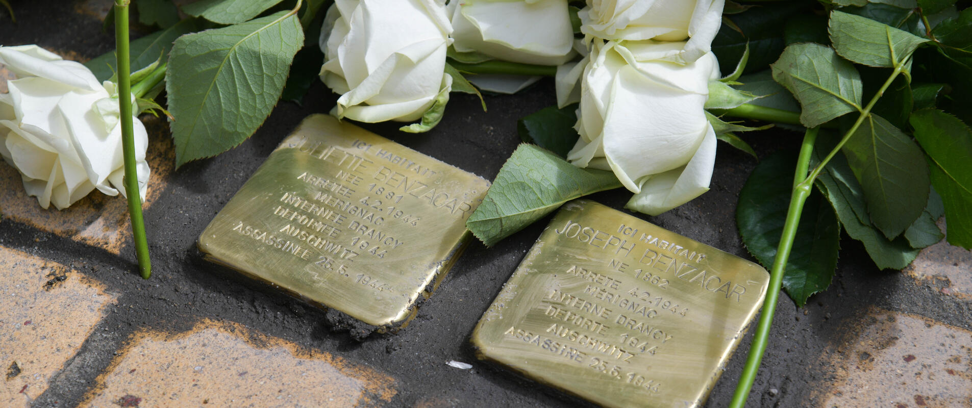 Pavés de la mémoire en hommage à Juliette et Joseph Benzacar, mai 2024©Thomas Sanson - mairie de Bordeaux